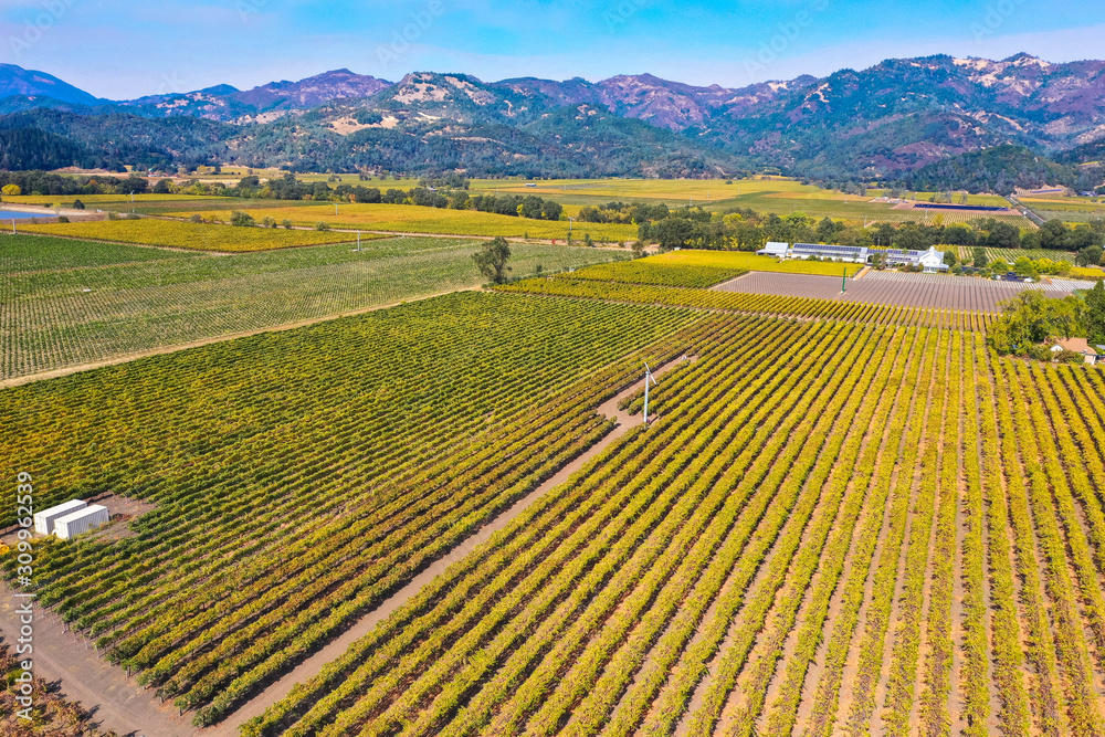 Aerial view of Napa Valley with vineyard 