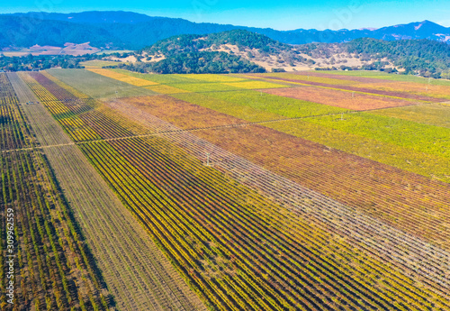 Luftbild: Napa Valley Weinanbaugebiet