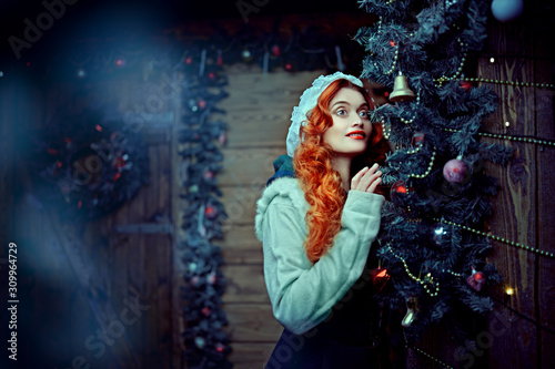 Christmas fairy tales © Andrey Kiselev