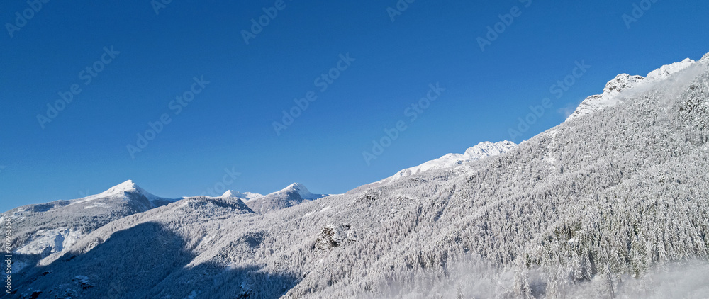 Alpine panorama with forest covered with fresh snow