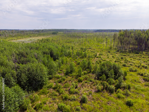 A young forest that has grown after severe forest fires. Aerial photography © Igor Dmitriev