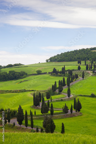 landscape of Tuscany with twisting road and cypresses