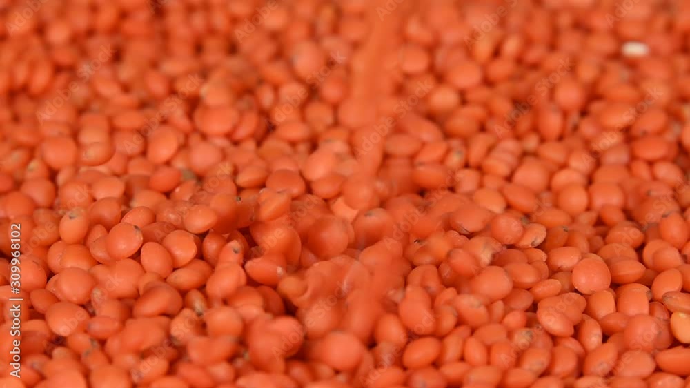 Close up background of red lentils falling on heap Close up background of red lentils falling on heap