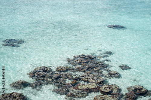 Live coral at low tide on Sampoerna, Sabah, Malaysia. photo