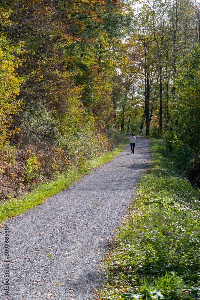 Fototapeta premium path in the park