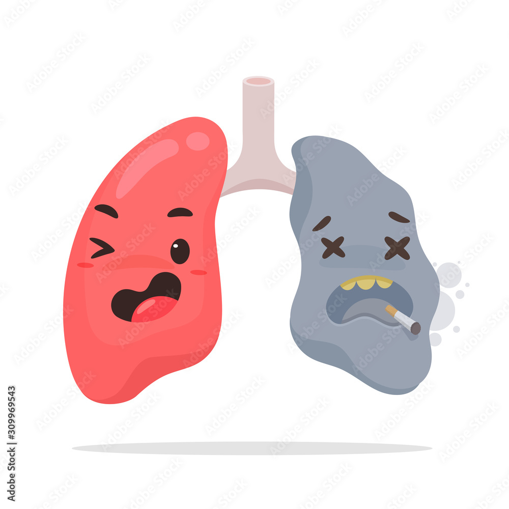 Cartoon smoking lungs. Healthy lung vectors and lung damage from cigarettes cause severe coughing. Stock Vector | Adobe Stock Cartoon smoking lungs. Healthy lung vectors and lung damage from cigarettes cause severe coughing. Stock Vector | Adobe Stock