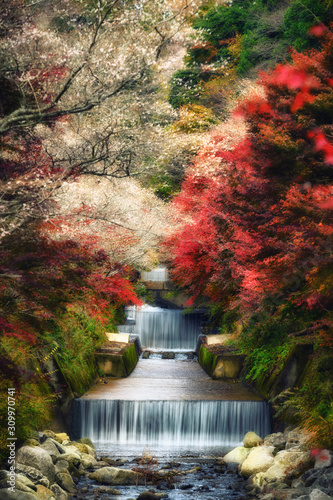 Shikizakura and flow path in Nagoya Japan photo