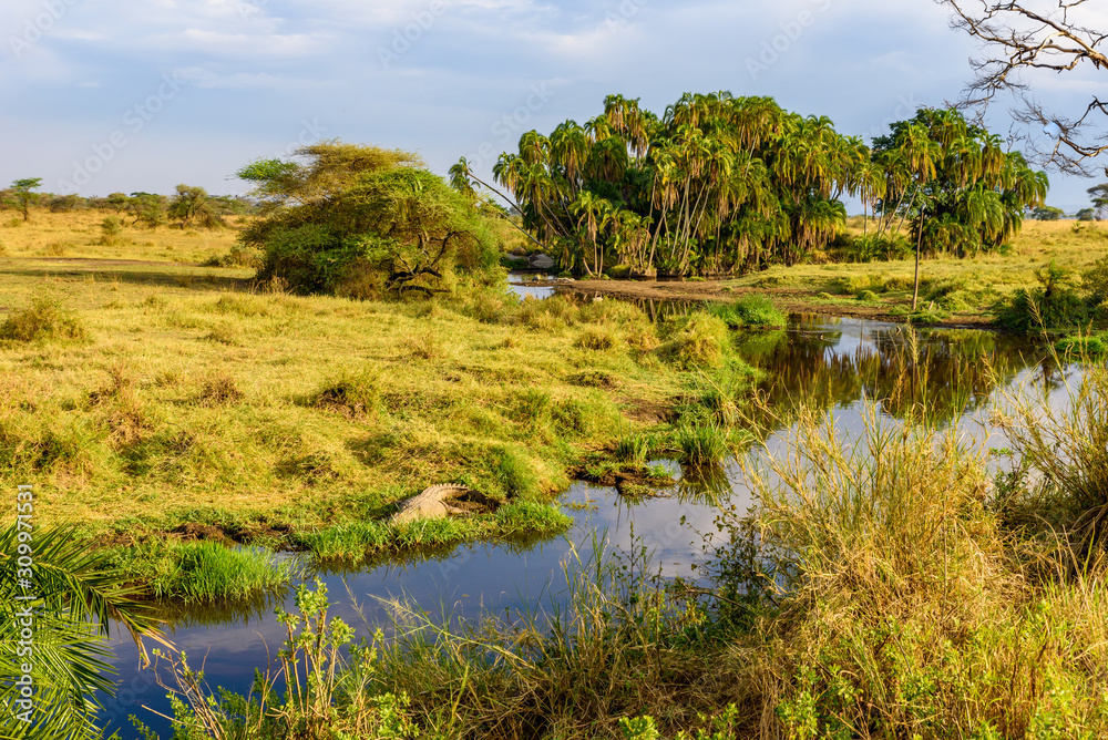 River and Lake in beautiful landscape scenery of Serengeti National Park, Tanzania - Safari in Africa River and Lake in beautiful landscape scenery of Serengeti National Park, Tanzania - Safari in Africa