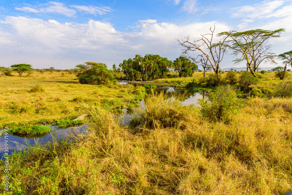 River and Lake in beautiful landscape scenery of Serengeti National Park, Tanzania - Safari in Africa