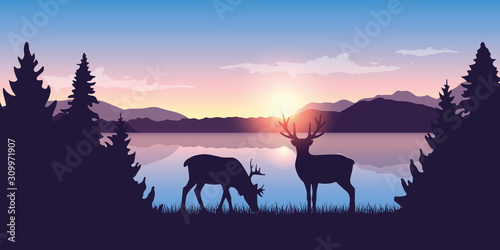 two reindeers by the lake at sunrise wildlife nature landscape vector illustration EPS10