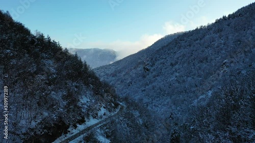 Aerial view of snowy trees on a mountain in a valley photo