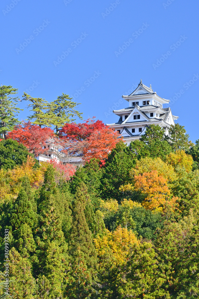秋の郡上八幡城