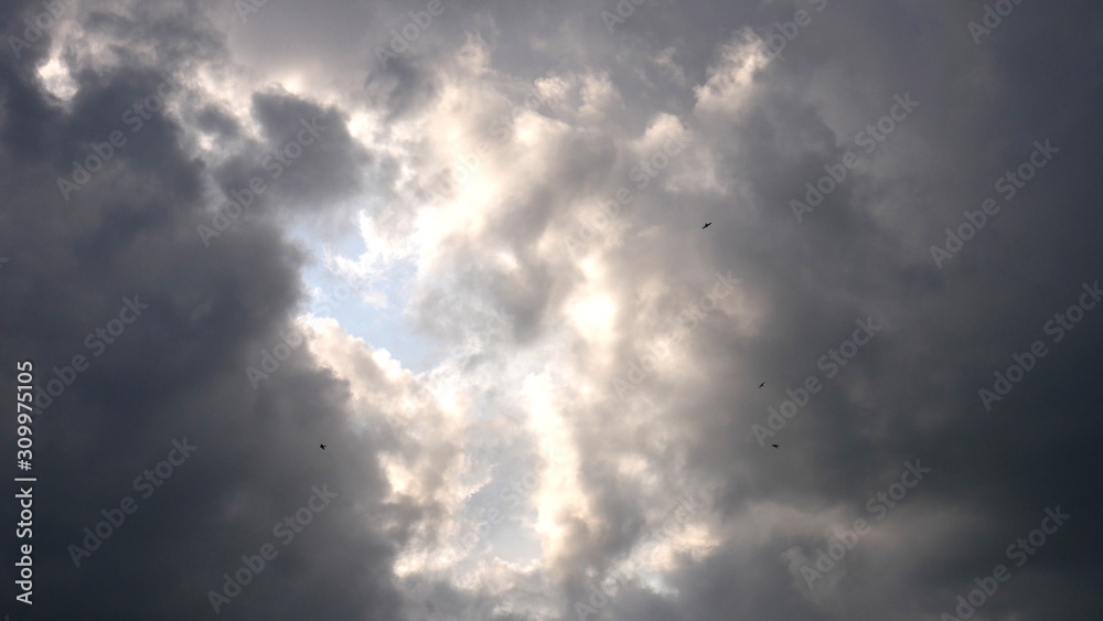 Dramatic sky with rain clouds and highly flying birds in front of storm