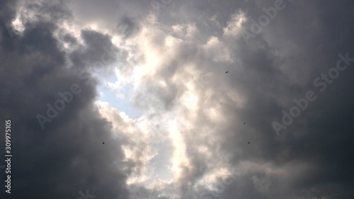 Dramatic sky with rain clouds and highly flying birds in front of storm