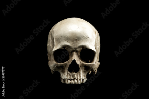 Frontview of natural human skull on isolated black background photo