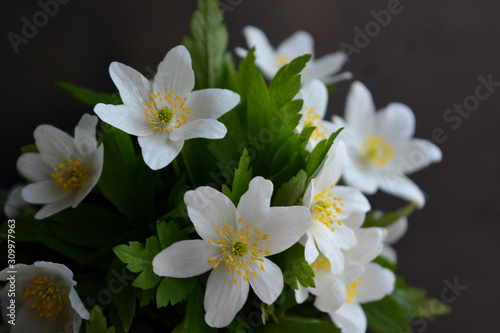 White anemone flowers against a dark background. Beautiful floral composition. Congratulation  postcard.