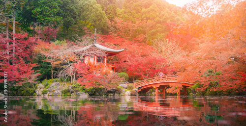 Young women wearing Kimono at Daigo-ji temple with colorful maple trees in autumn, Daigo-ji temple is famous in autumn color leaves, Kyoto, Japan. photo