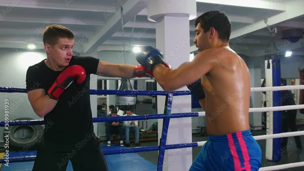 Box training - two men having a fight on the boxing ring Box training - two men having a fight on the boxing ring