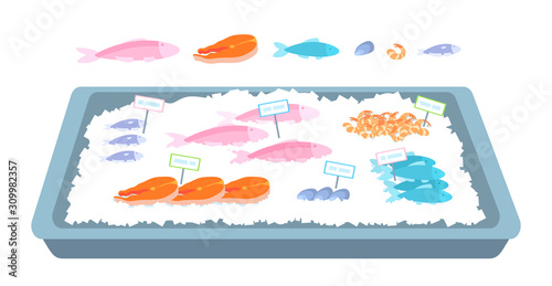 The counter with seafood on ice. Fish, shrimp, mussels, salmon steaks. Vector illustration isolated on white background.
