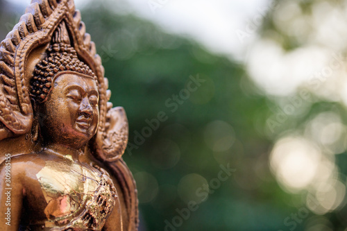 Buddha on a natural background. © pumpui