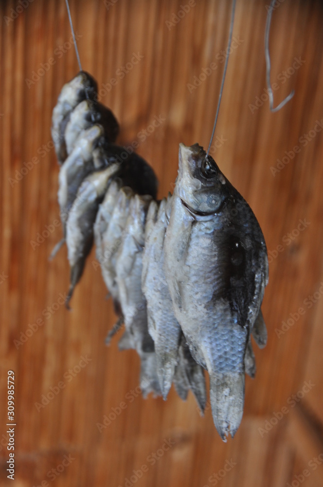 dried fish for beer