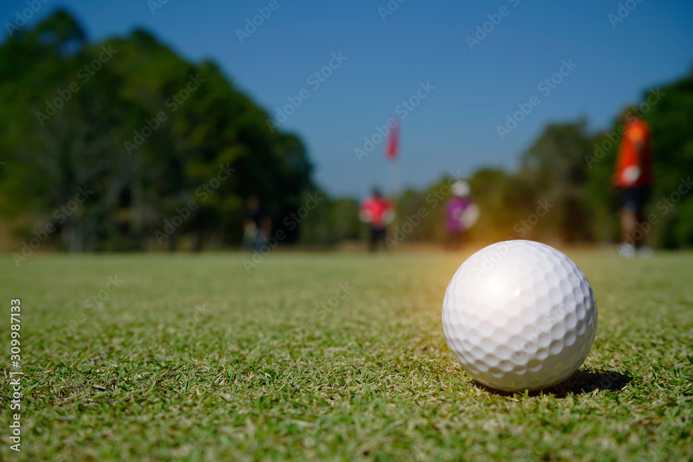 Golf ball on green grass in beautiful golf course Golf ball on green grass in beautiful golf course