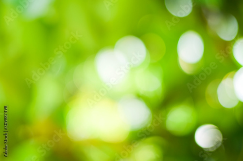 Abstract green spring background © Oilprakorn