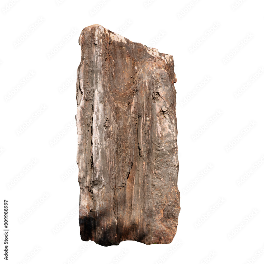 Big stone brown (bogwood) Isolated on the white background. Big stone brown (bogwood) Isolated on the white background.