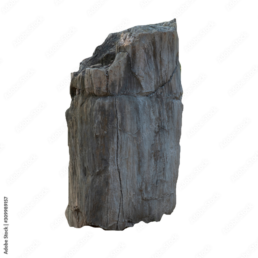 Big stone brown (bogwood) Isolated on the white background. Big stone brown (bogwood) Isolated on the white background.