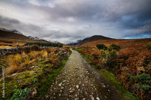 Hiking trail with MacGillycuddy's Reeks mountain range in the background, Kerry, Ireland