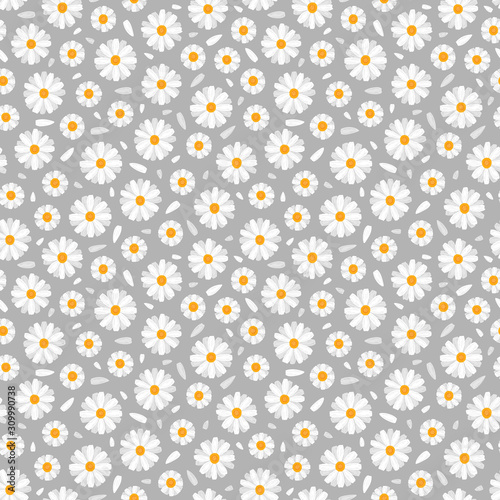 Floral Seamless Pattern. White Daisy or Chamomile (Camomile) Flower. Cute Flowers and Petals Vector Background