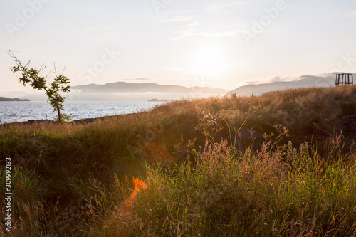 Sommer in Jelsa am Boknafjord, Südnorwegen photo