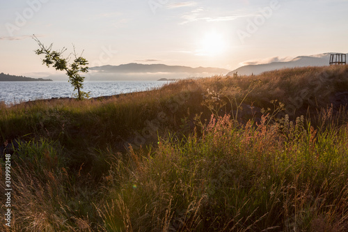 Sommer in Jelsa am Boknafjord, Südnorwegen