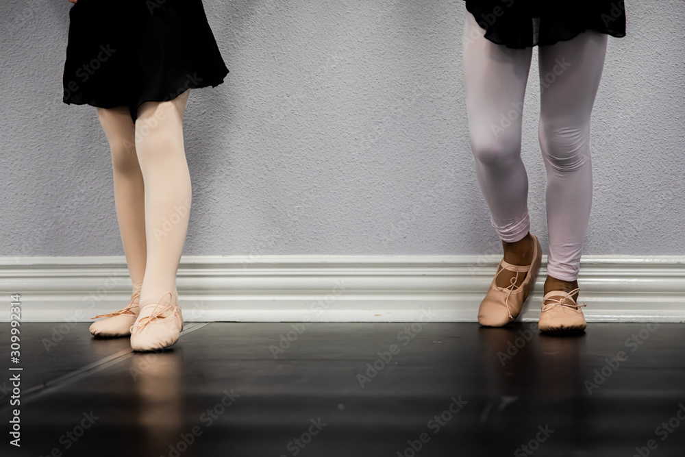 Young Girls in ballet shoes and tights and leotards Young Girls in ballet shoes and tights and leotards