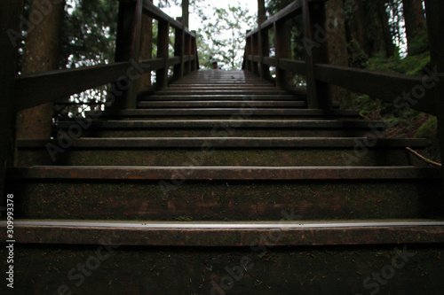Fototapeta Naklejka Na Ścianę i Meble -  Close up of wooden staircase in Alishan National Forest Recreation Area in Chiayi County, Alishan Township, Taiwan