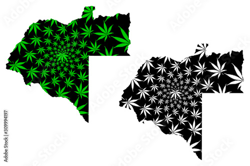 Moxico Province (Provinces of Angola, Republic of Angola) map is designed cannabis leaf green and black, Moshiko map made of marijuana (marihuana,THC) foliage.... photo