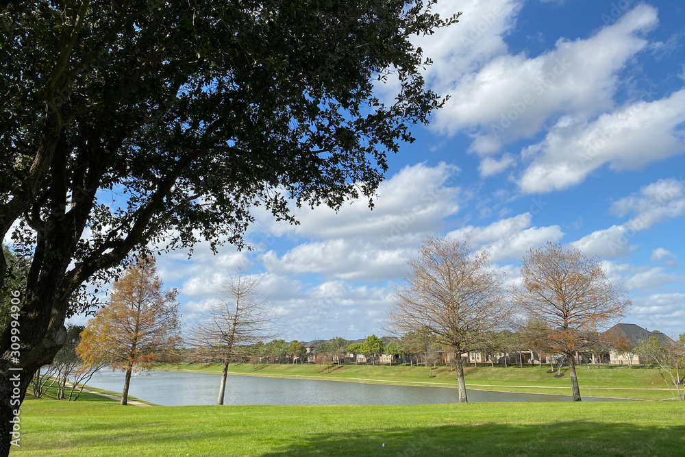 landscape with trees and blue sky landscape with trees and blue sky