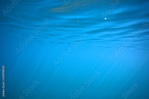 lake background water underwater abstract / fresh water diving background nature underwater ecosystem background