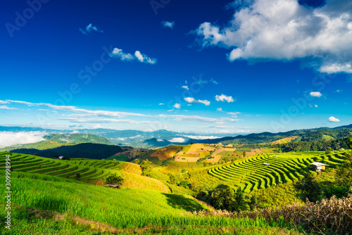 Terraced rice field in Mu Cang Chai, Vietnam