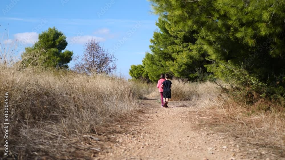 Brother and sister walking together on a dangerous path in the forest. Slow-motion gimbal shot. Brother and sister walking together on a dangerous path in the forest. Slow-motion gimbal shot.