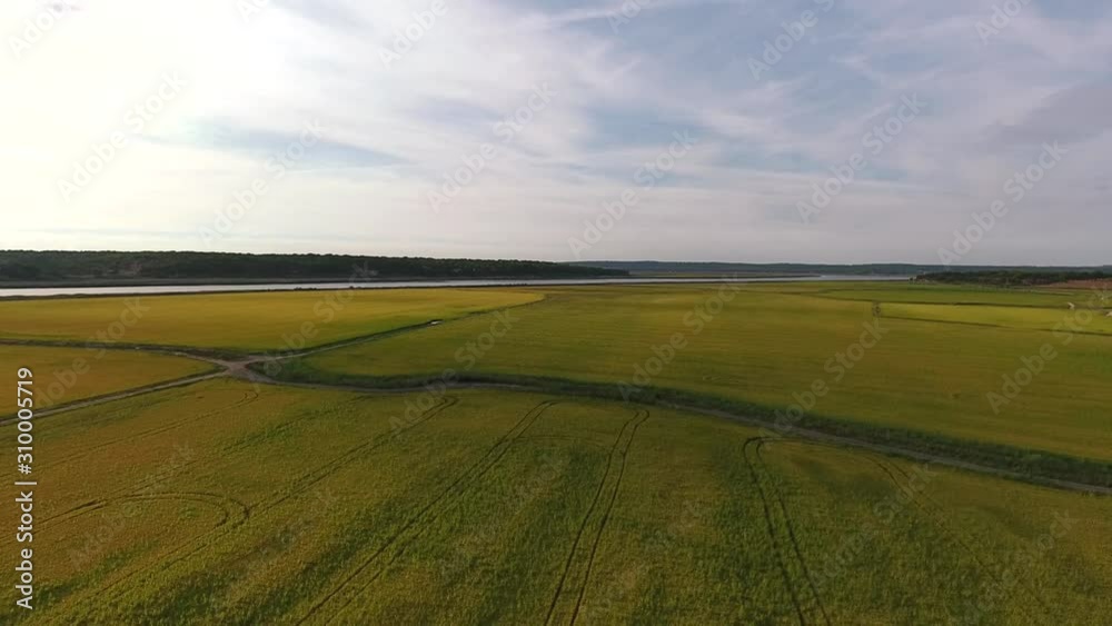 rice production fields near river bank aerial shot 4k rice production fields near river bank aerial shot 4k