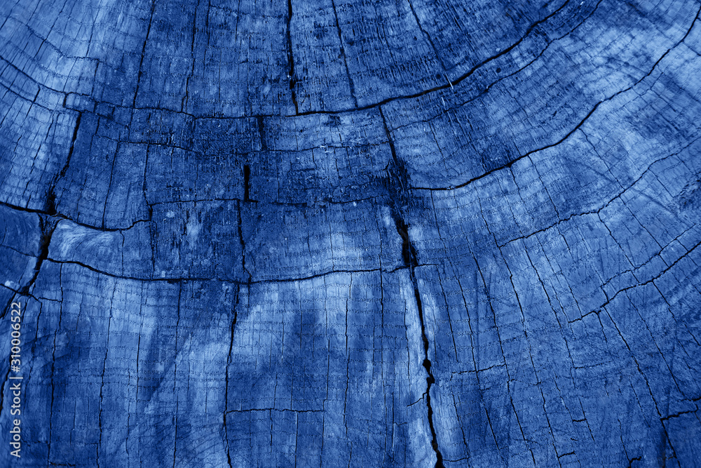 Fototapeta premium Blue old wooden texture background. Creat background with copy space