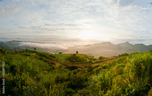 Sapa landscape in Vietnam