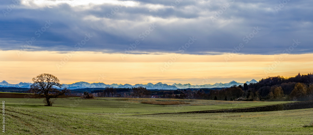 Obraz premium Tree in front of an alpine panorama in the evening with the foehn weather