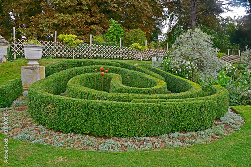 Billede på lærred A large garden border with circular topiary hedge in a country house garden