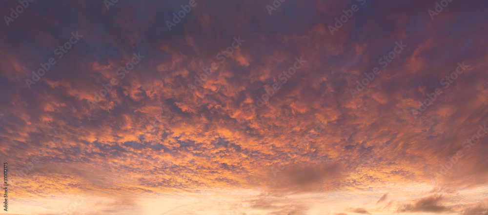 Fototapeta panorama of dramatic cloudscape at sunset with red clouds on sky