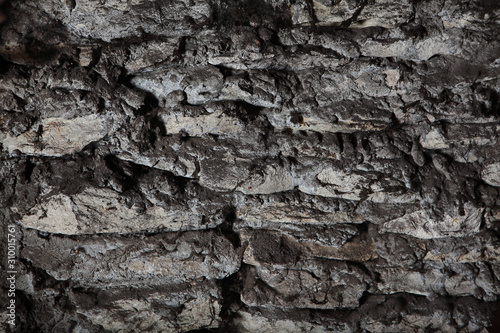 Texture of gray ancient stone. Masonry. Copy space.