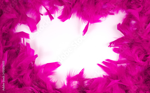 violet feathers. Background of red feathers