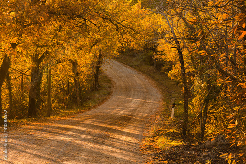 Dirt road in autumn © Overburn
