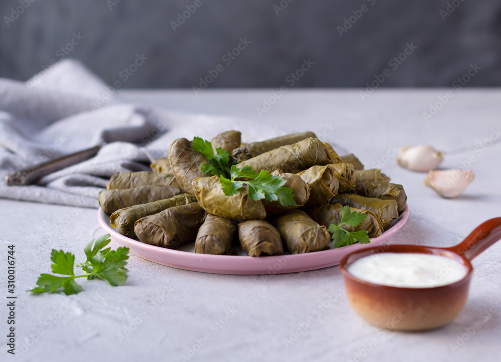 Dolma served with homemade yogurt. Caucasian cuisine, grape leaves stuffed with minced meat and rice. Dolma served with homemade yogurt. Caucasian cuisine, grape leaves stuffed with minced meat and rice.